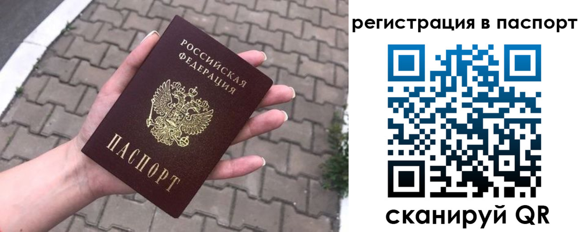 прописка 2025 в Людиново
